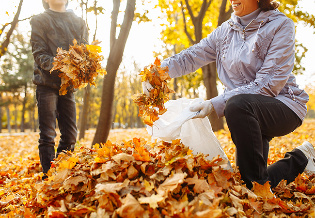 Don’t Let Your Back Suffer This Holiday Season